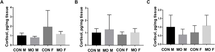 FIGURE 4