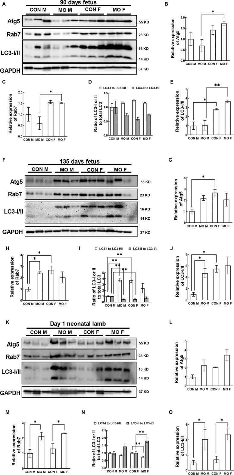 FIGURE 3