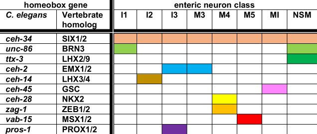 Figure 12.