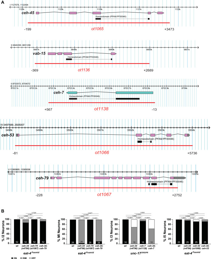 Figure 11—figure supplement 1.