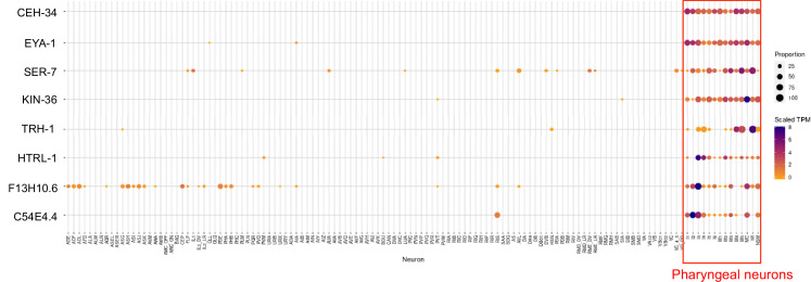 Figure 6—figure supplement 1.