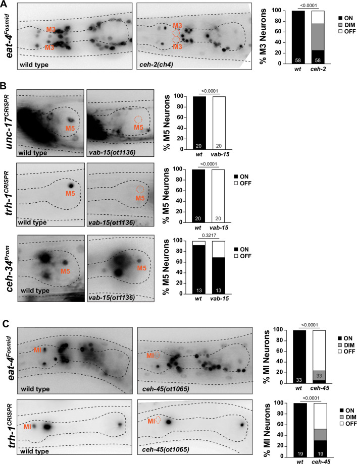 Figure 11.