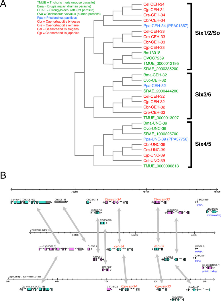 Figure 2—figure supplement 1.