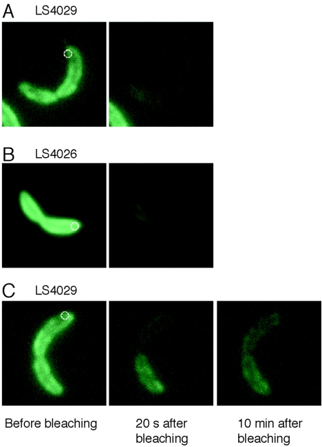 FIG. 6.