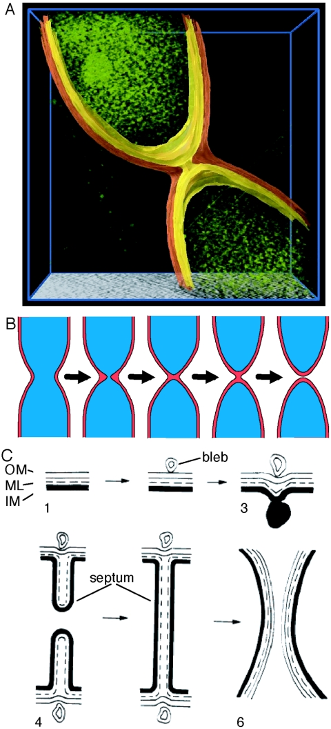 FIG. 3.