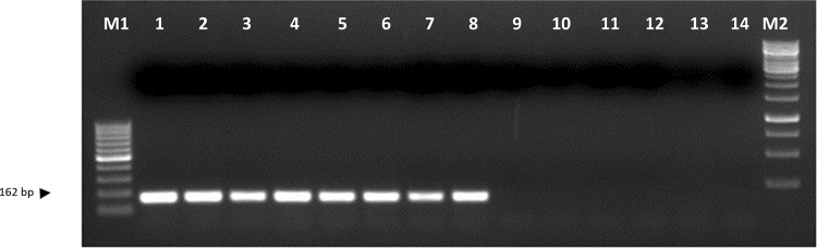 Fig. 6