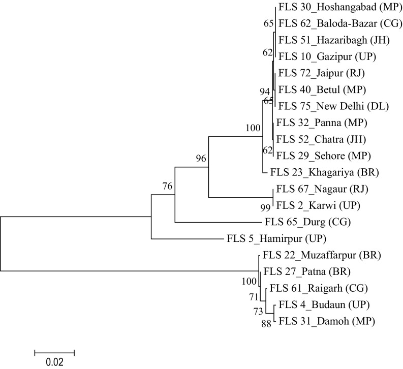 Fig. 5