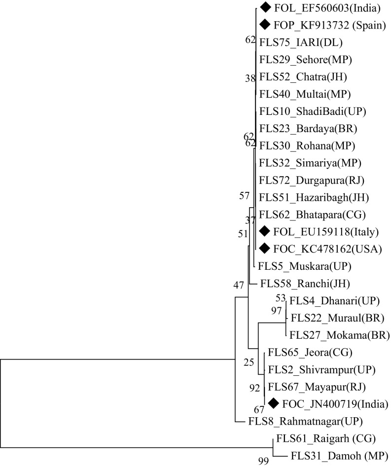 Fig. 3