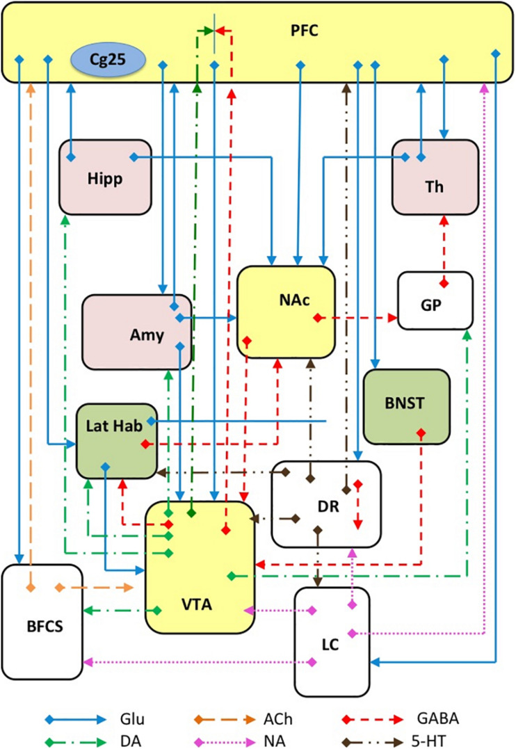 FIGURE 3