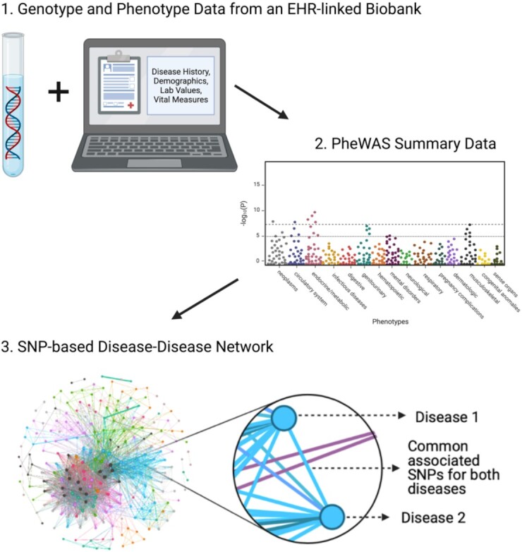 Figure 1: