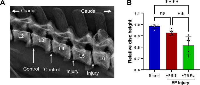 Figure 3: