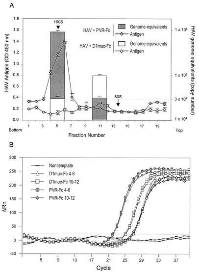 FIG. 7.