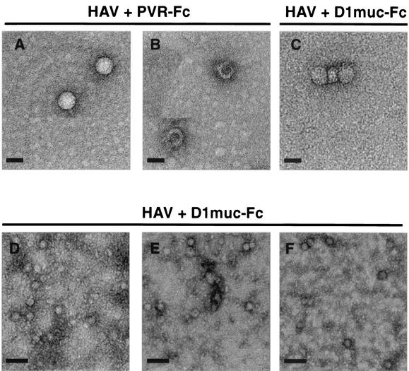 FIG. 8.