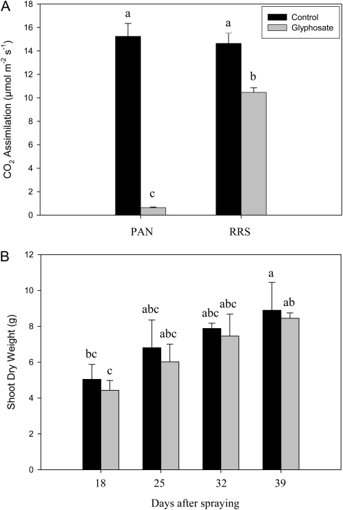 Figure 7.