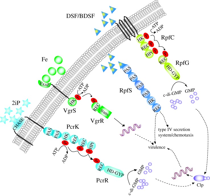 Figure 1.