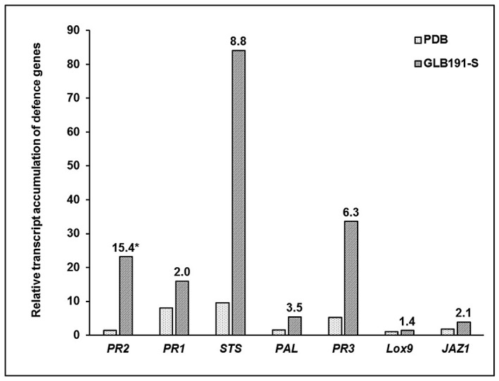 Figure 4