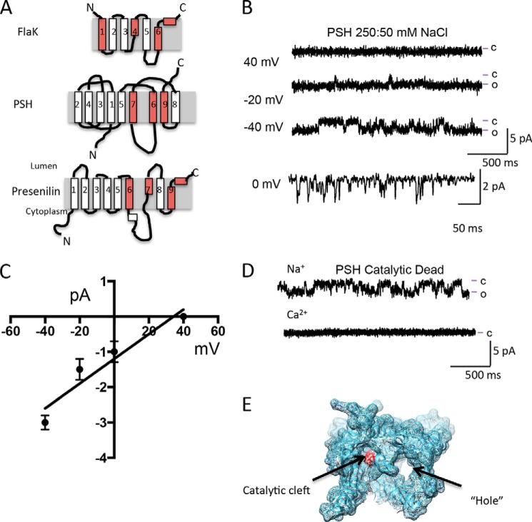 FIGURE 1.