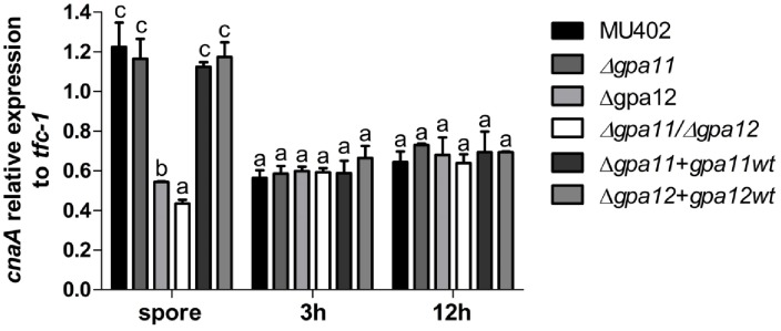 Fig 6