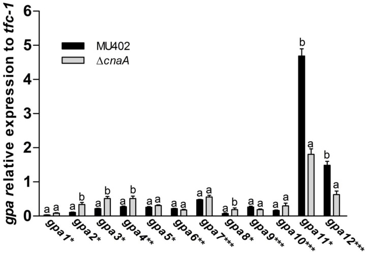 Fig 7