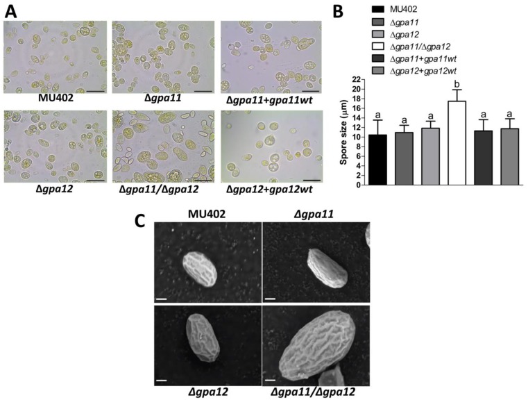 Fig 4