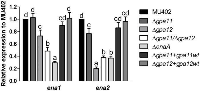 Fig 8