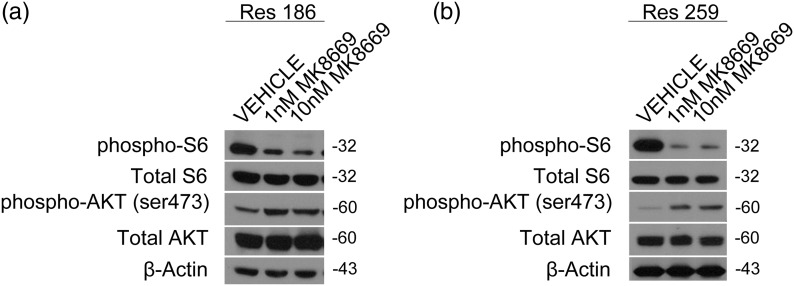 Fig. 4.