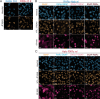 Figure 2—figure supplement 3.