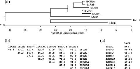 FIG. 2.