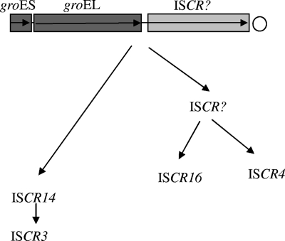 FIG. 3.