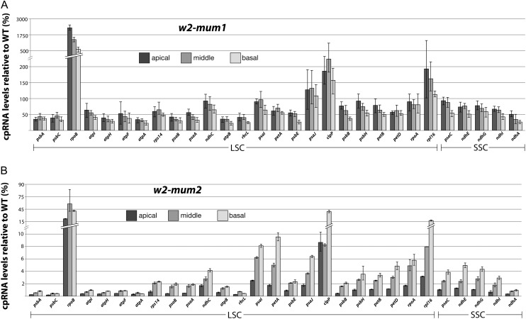 Figure 6.