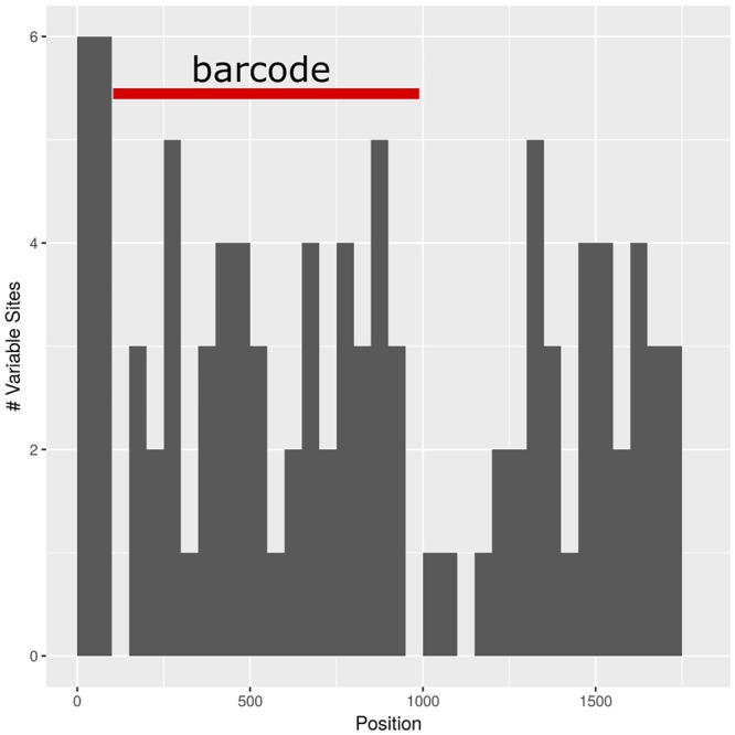 FIGURE 3