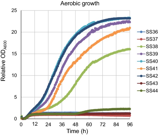 Fig. 1