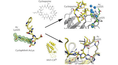 graphic file with name 41589_2010_Article_BFnchembio342_Figa_HTML.jpg