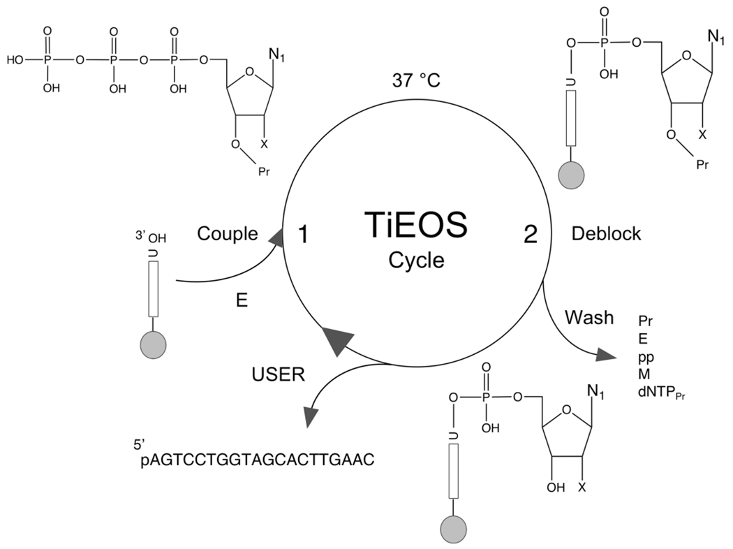 Figure 6.