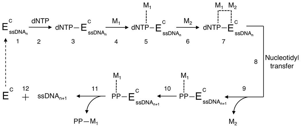 Figure 11.