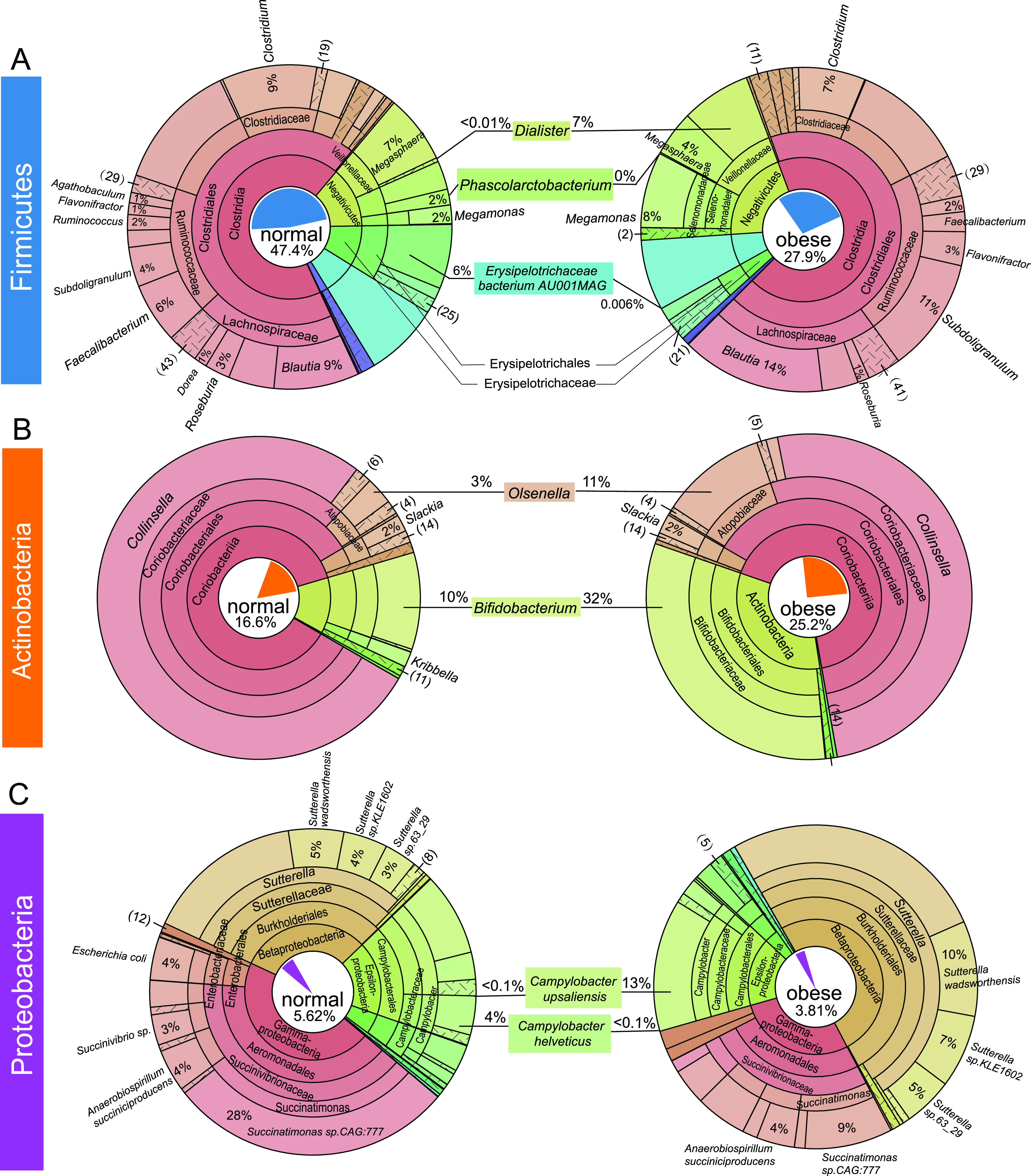 FIG 6