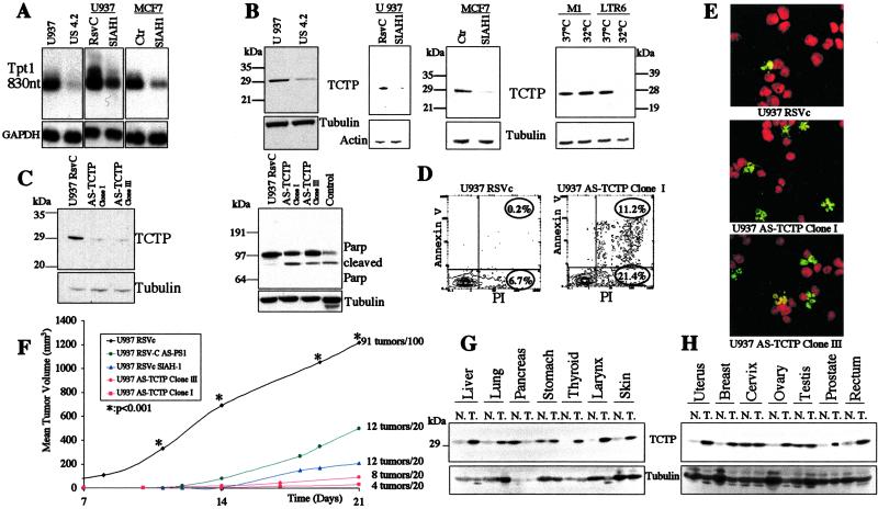 Fig 3.