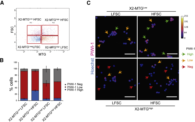 Figure 3