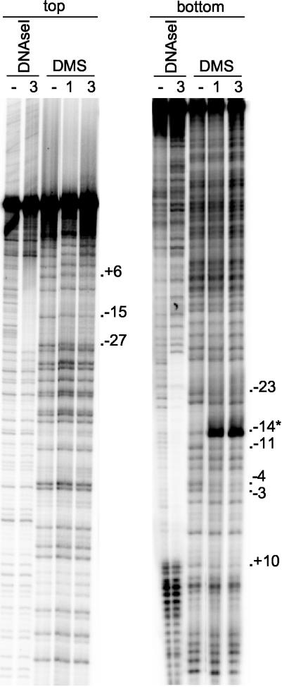 FIG. 7.