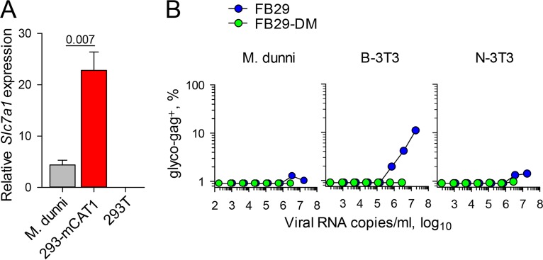 FIG 7