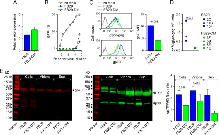 FIG 6