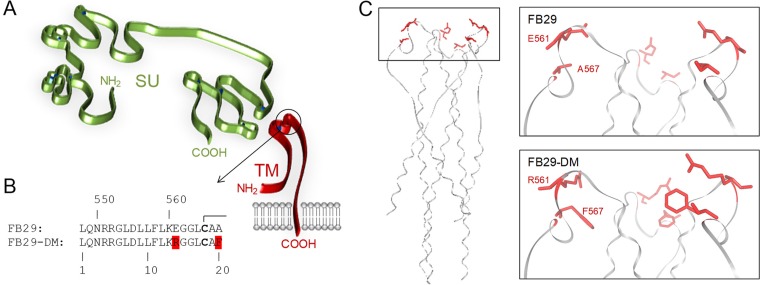 FIG 1