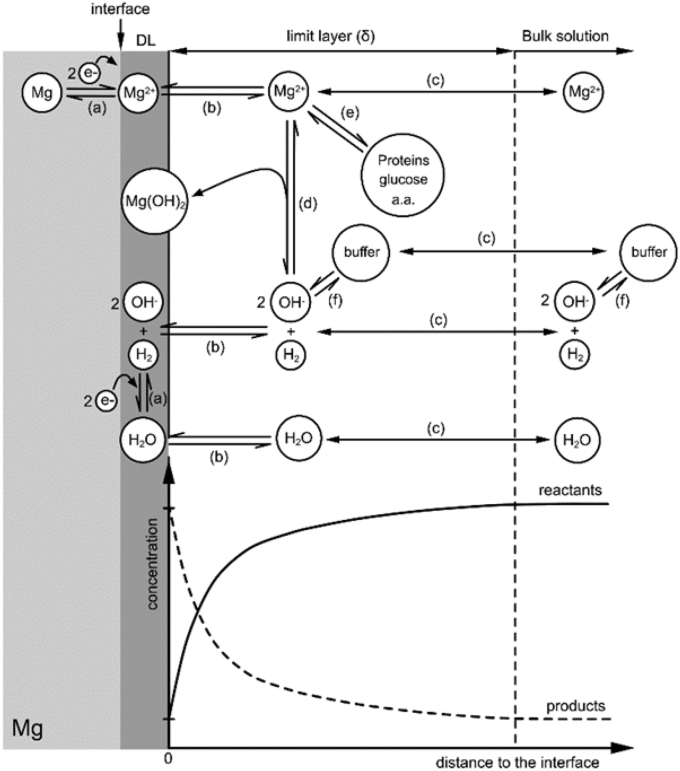 Fig. 5