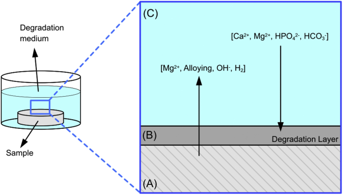 Fig. 8