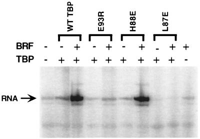 FIG. 8