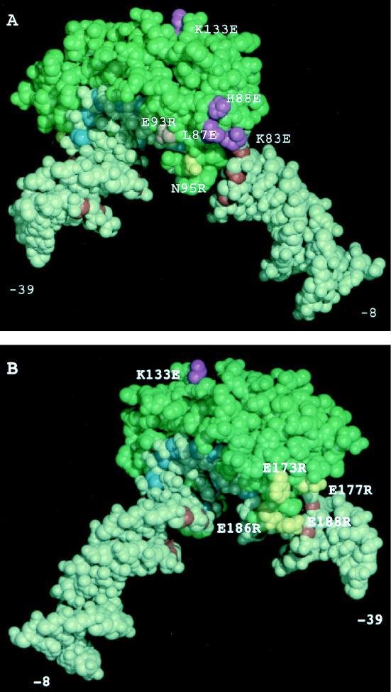 FIG. 7