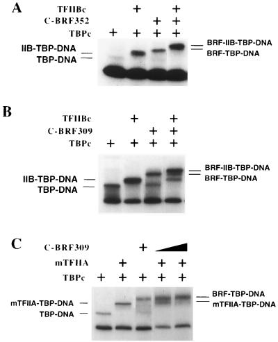 FIG. 5