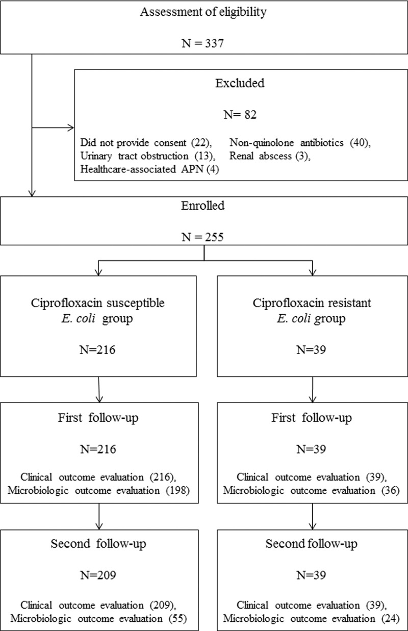 Fig 1