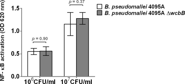 Fig 10