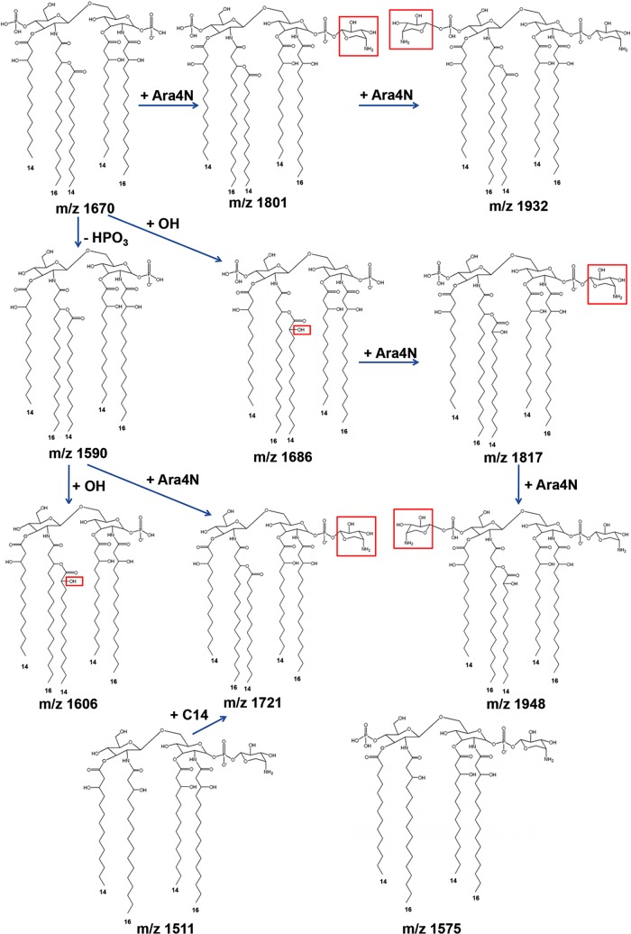 Fig 2